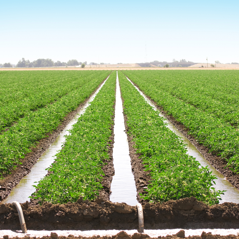 Top 5 Reasons Why Irrigation Might Not be Your Go to Adaptation Solution