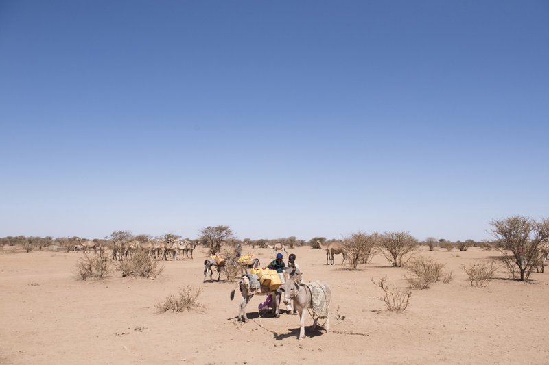 People fetching water in Somalia. Source: Visual Hunt