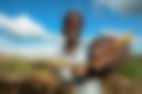 Eastern Africa Crop Monitor, 7