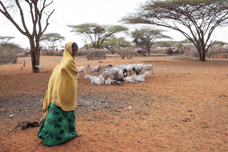 IGAD and FAO call for urgent actions to mitigate the impacts of drought across the Horn of Africa