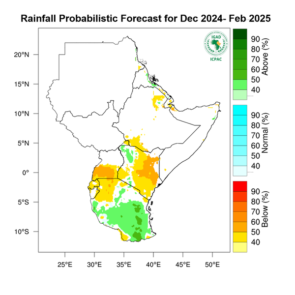Rainfall forecast