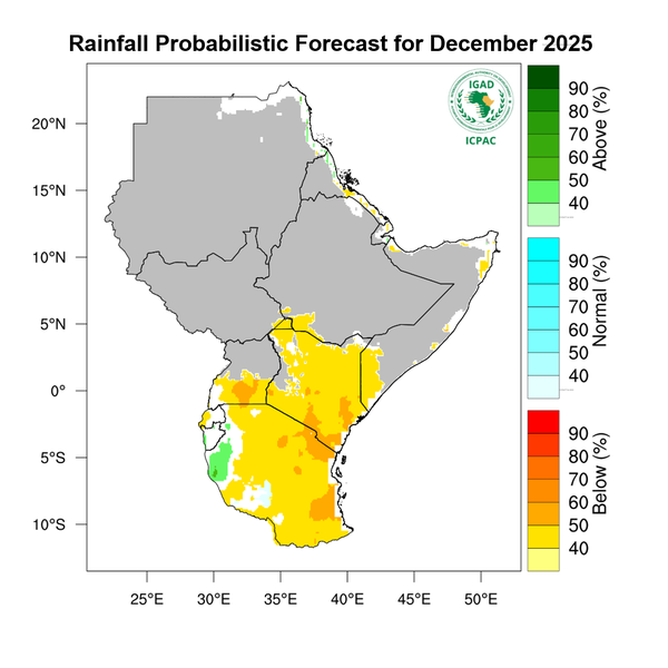 Rainfall forecast