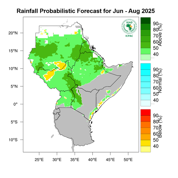 Rainfall forecast