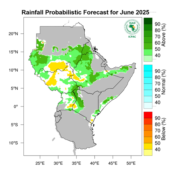 Rainfall forecast