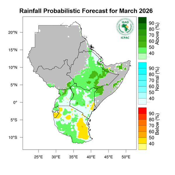 Rainfall forecast