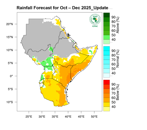 Rainfall forecast