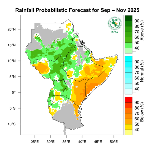 Rainfall forecast
