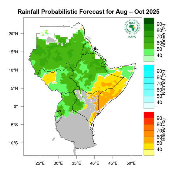 Rainfall forecast