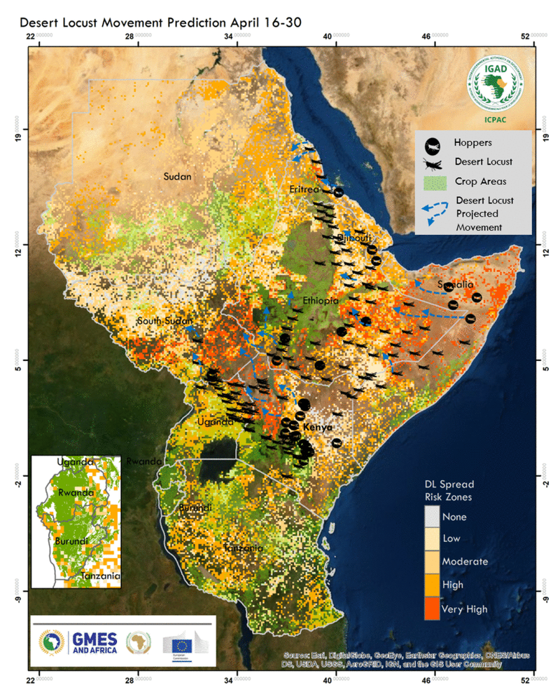 ICPAC Desert Locust Risk Map April 16-30 GIF (1).gif