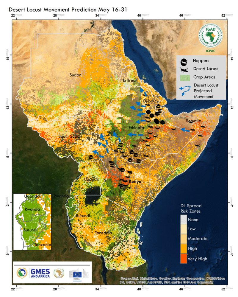 ICPAC Desert Locust Risk Map May 16-31 GIF.gif