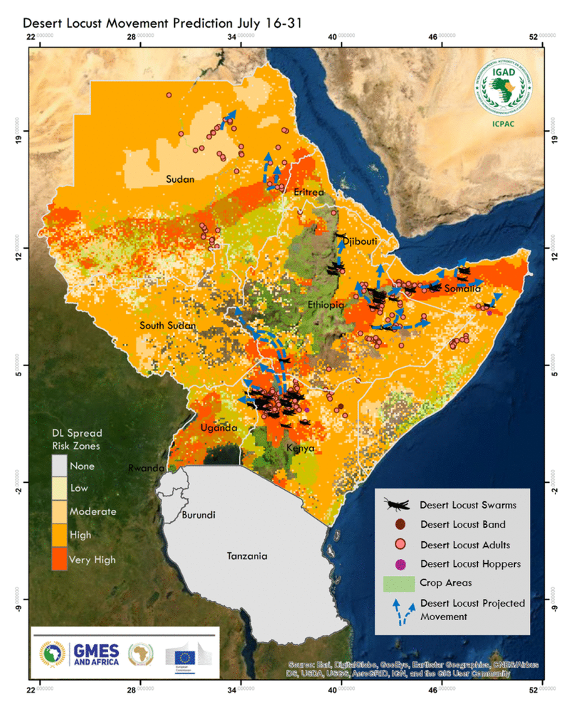 ICPAC GMES Desert Locust Prediction Risk July 16-31 GIF.gif