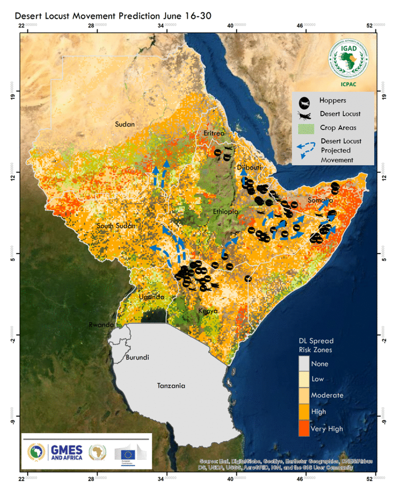 ICPAC GMES Desert Locust Risk Map June 16-30 GIF.gif