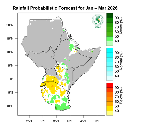 Rainfall forecast