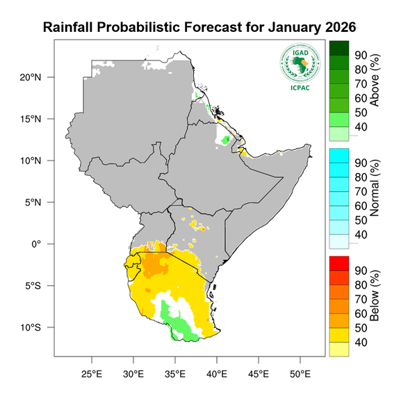Rainfall forecast