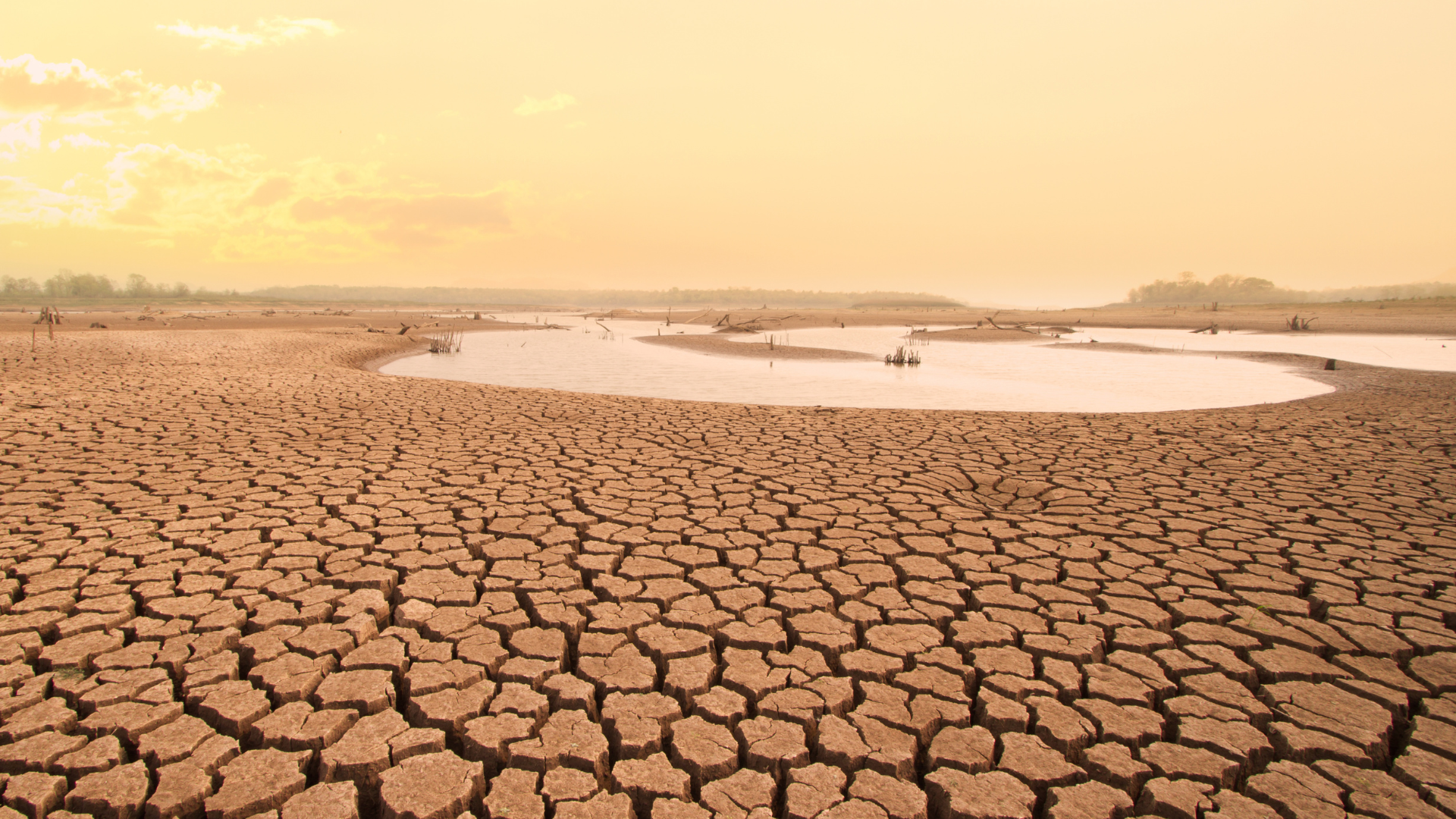 Impacts of Floods and Drought, State of Climate Services, and their ...