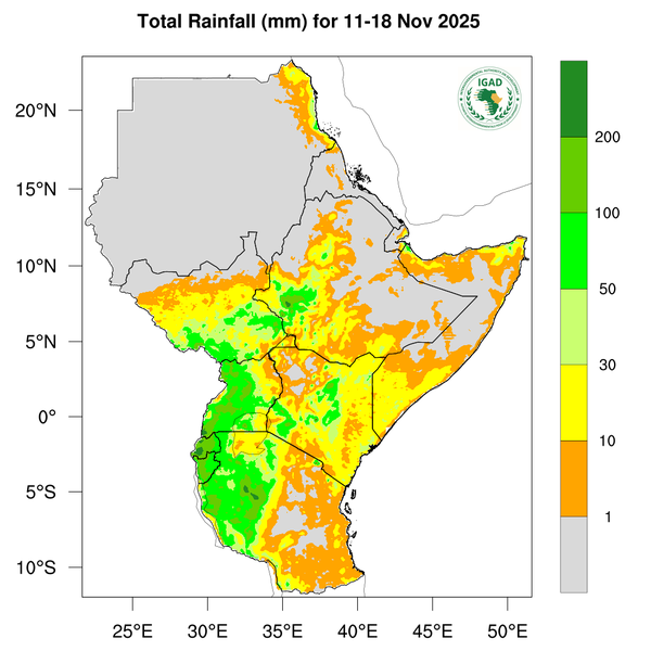 Rainfall forecast