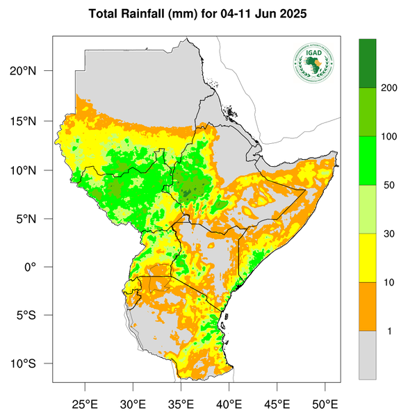 Rainfall forecast