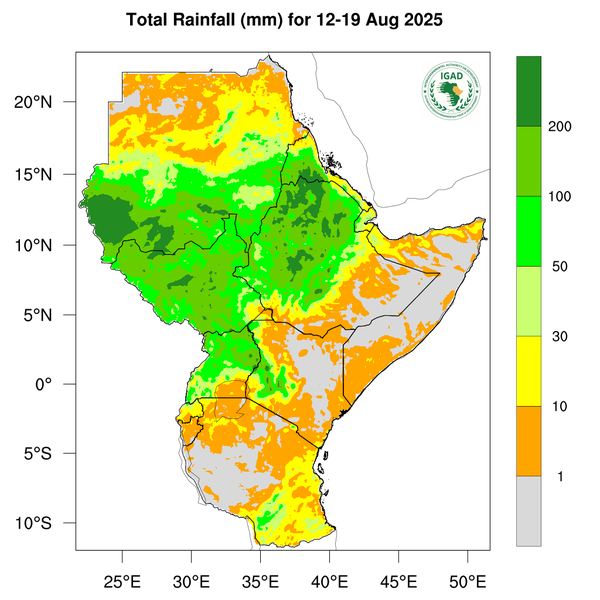 Rainfall forecast