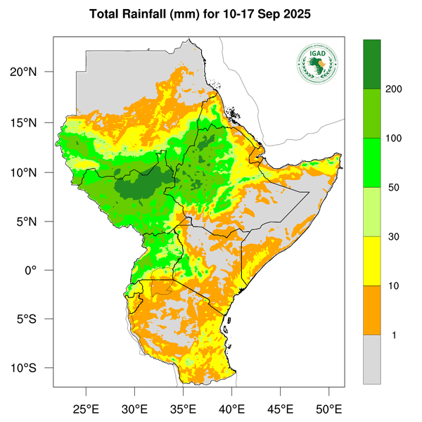 Rainfall forecast