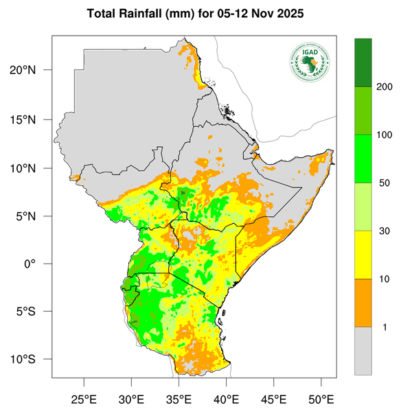 Rainfall forecast