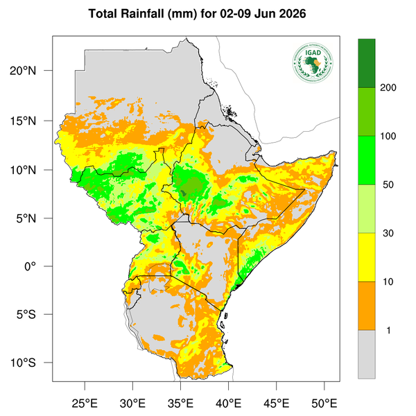 Rainfall forecast