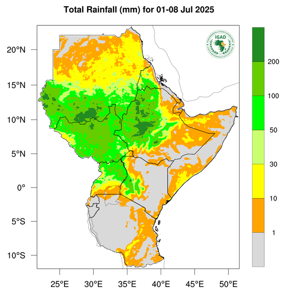 Rainfall forecast