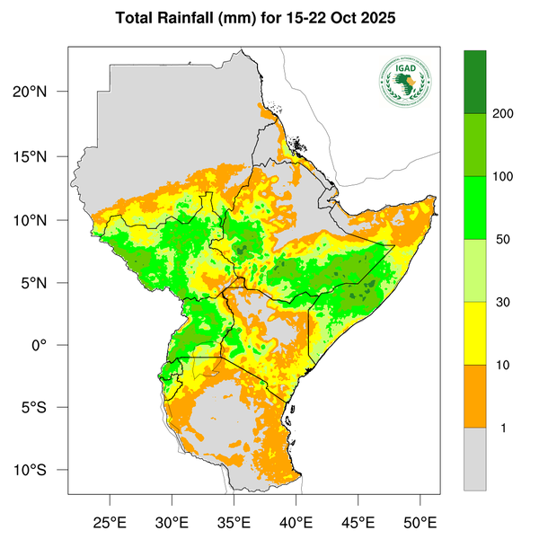 Rainfall forecast