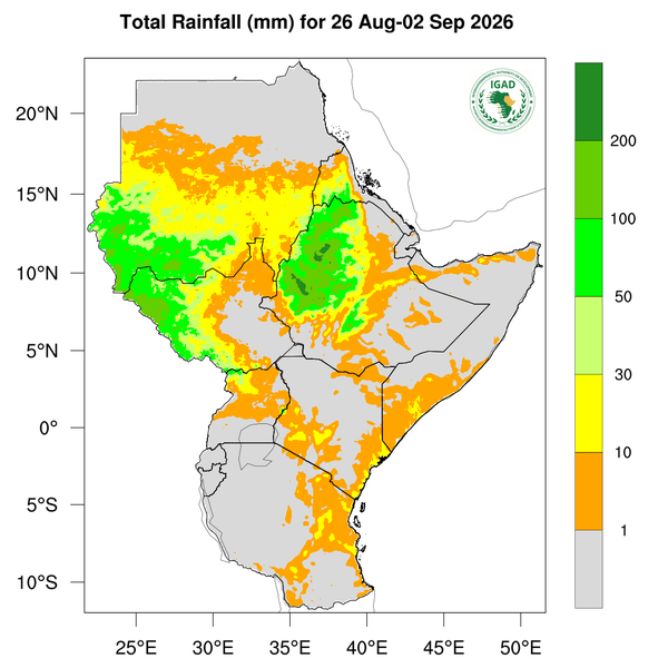 Rainfall forecast