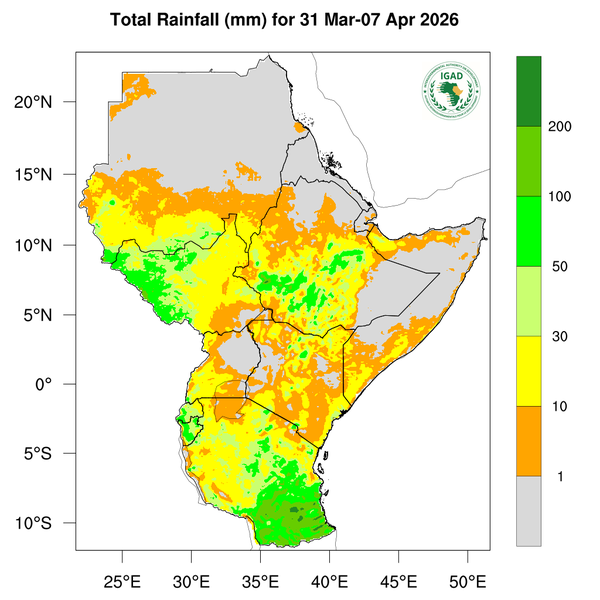 Rainfall forecast