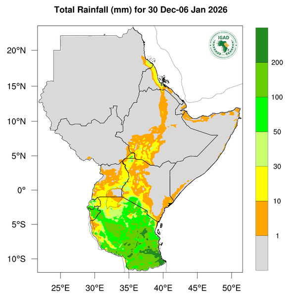 Rainfall forecast