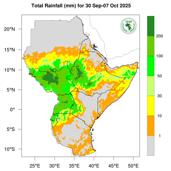 Rainfall forecast