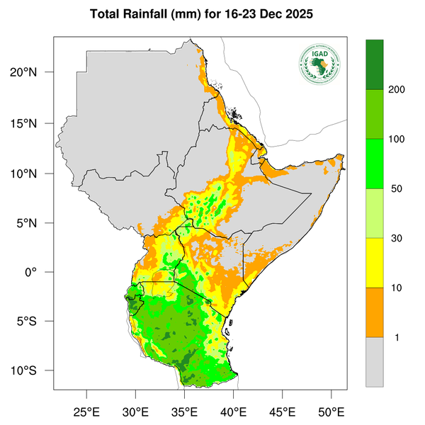 Rainfall forecast