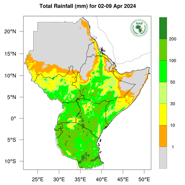 Rainfall forecast