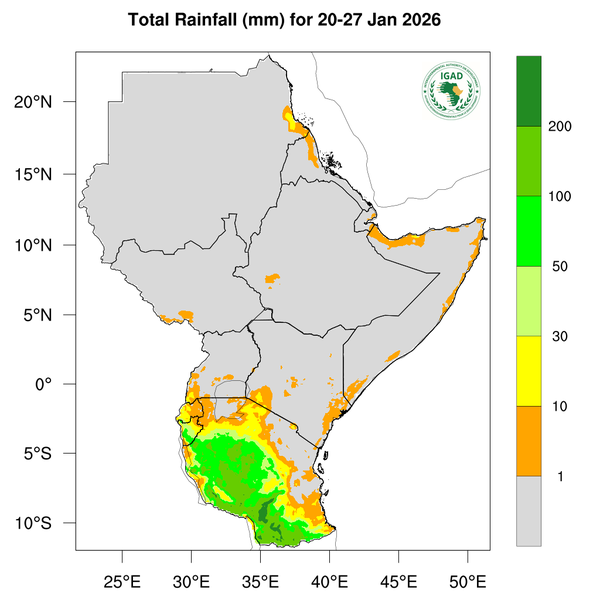 Rainfall forecast