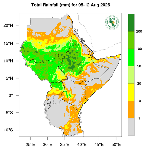Rainfall forecast