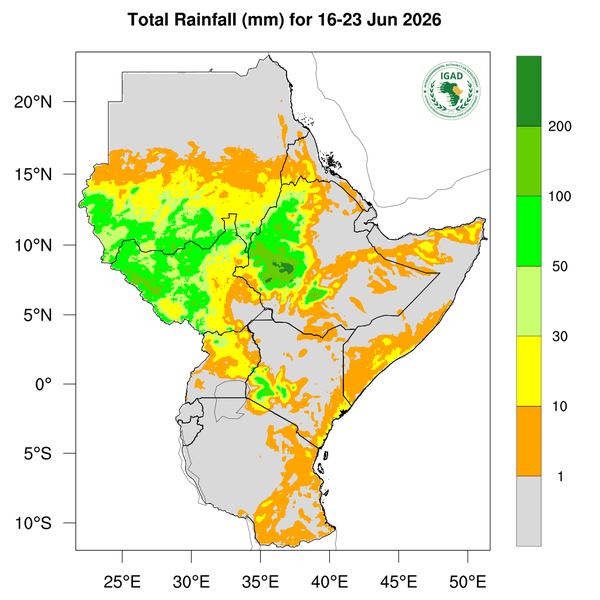 Rainfall forecast