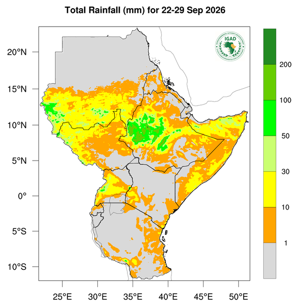 Rainfall forecast
