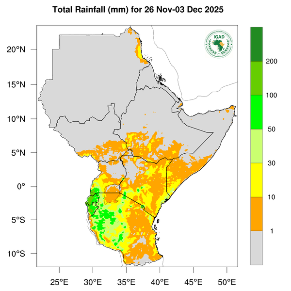 Rainfall forecast