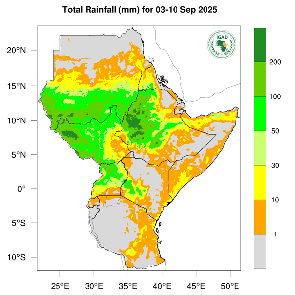 Rainfall forecast