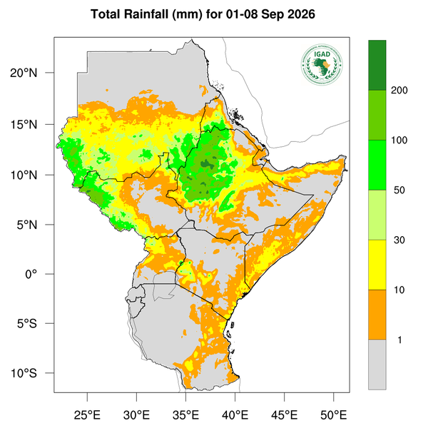 Rainfall forecast