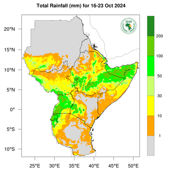 Rainfall forecast
