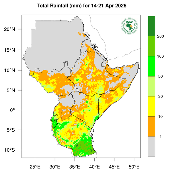 Rainfall forecast