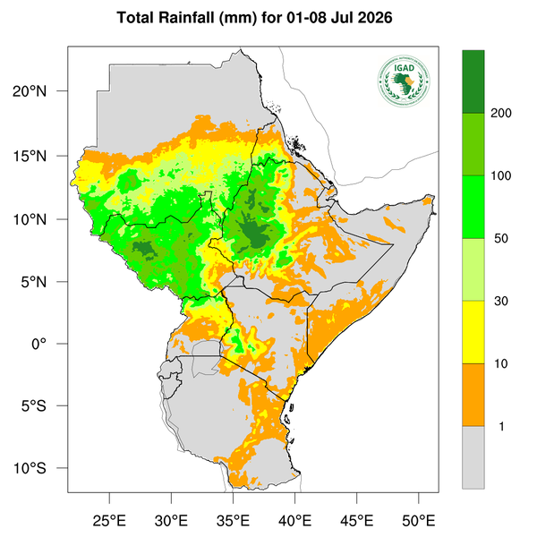 Rainfall forecast