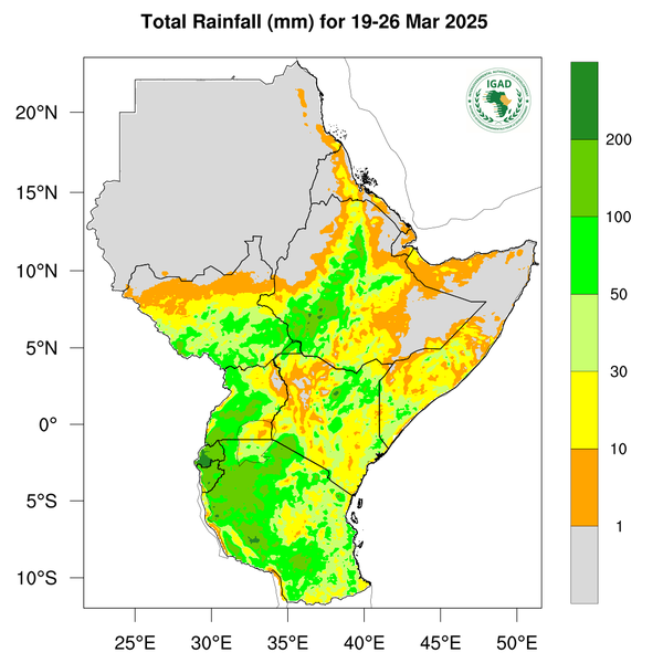 Rainfall forecast