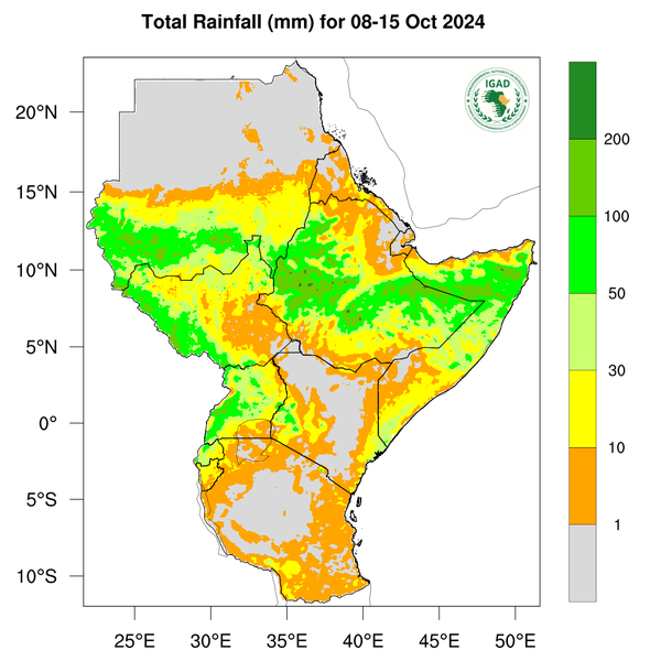 Rainfall forecast