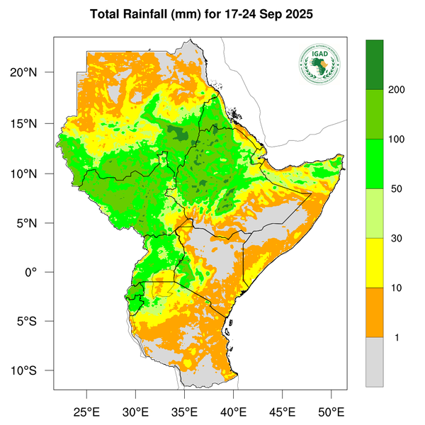 Rainfall forecast