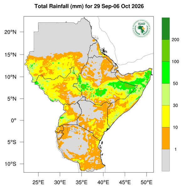 Rainfall forecast
