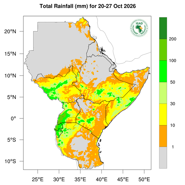 Rainfall forecast