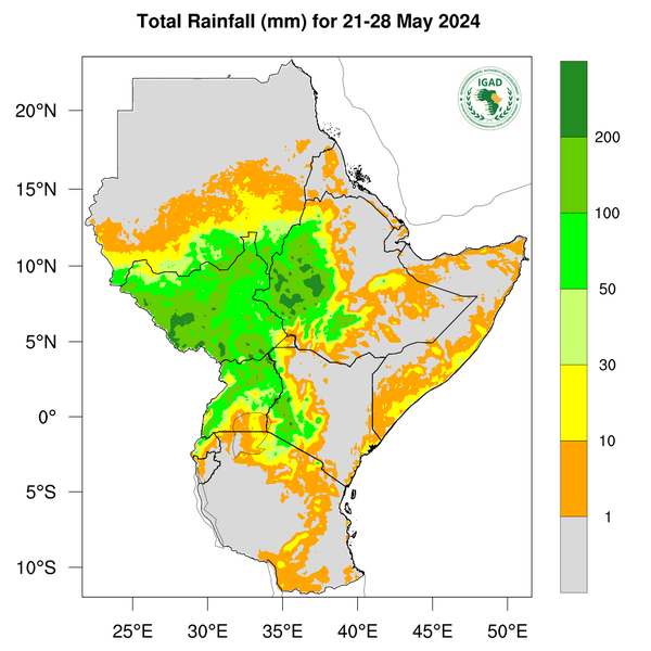 Rainfall forecast