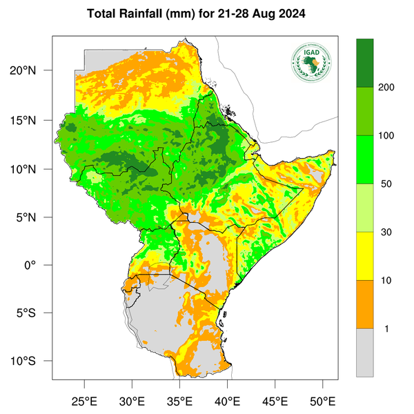 Rainfall forecast